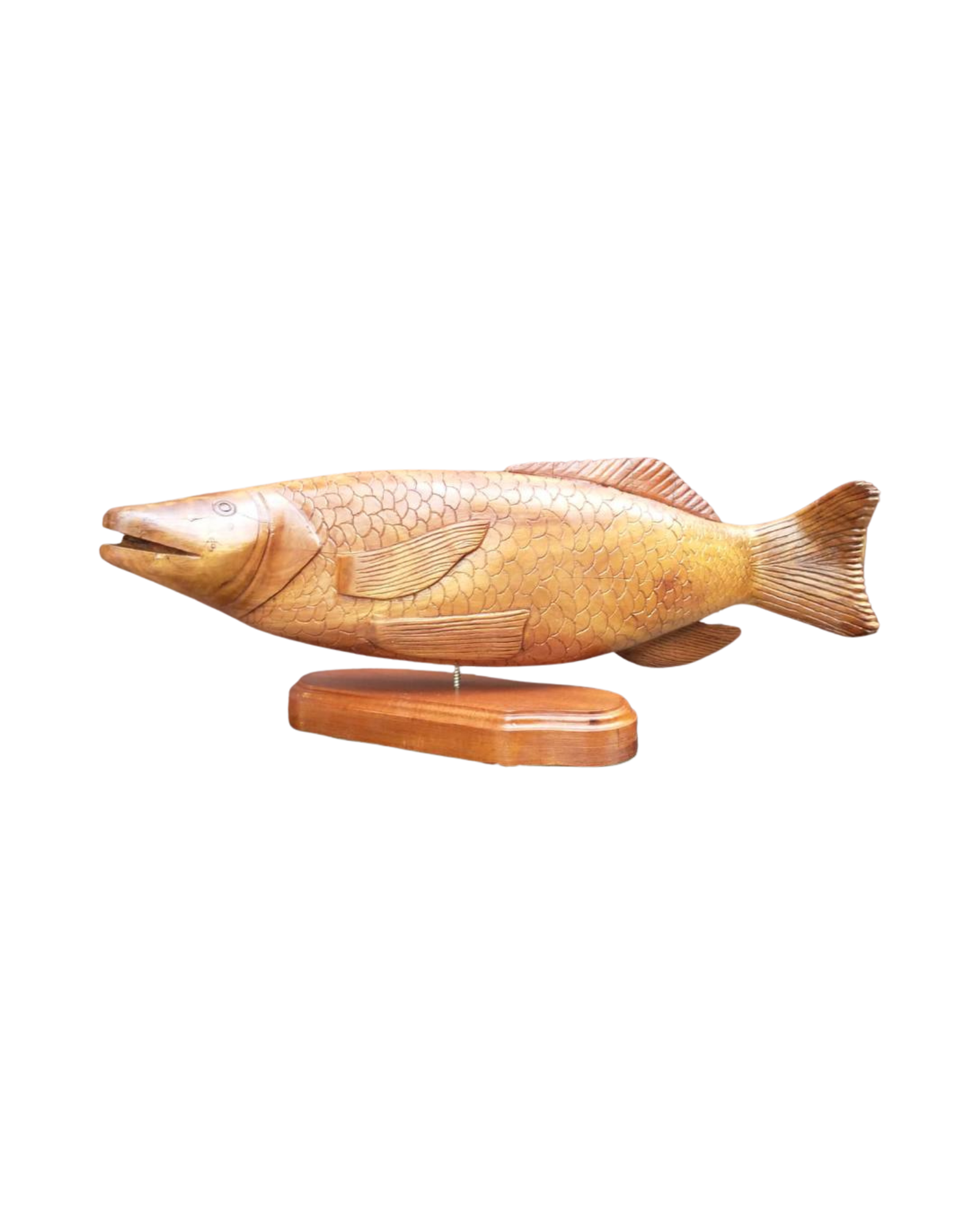 172 - Pedro Luiz Nicolau - peixe.png